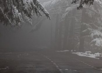 ღრუბლიანობის მომატება და ნისლი – 30 დეკემბრის ამინდის პროგნოზი