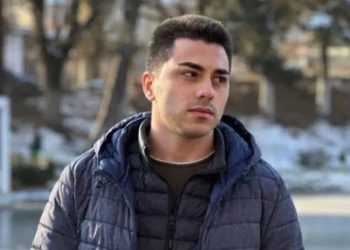 სასამართლომ ნიკო მანაგაძეს 4-დღიანი პატიმრობა შეუფარდა