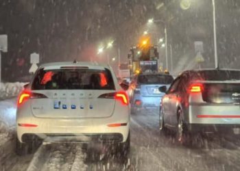 თოვლმა რიკოთზე პრობლემები შექმნა – უღელტეხილის მონაკვეთზე საცობია