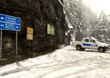 მესტიაში ტურისტებზე თავდამსხმელი ორივე პირი დააკავეს – შსს განცხადებას ავრცელებს