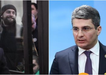 „შემიძლია თავდებშიც კი ჩავუდგე-მეთქი, თუ ის გაითავისებს, რა ჩაიდინა“ – მამუკა მდინარაძე ანდრო ჭიჭინაძეზე