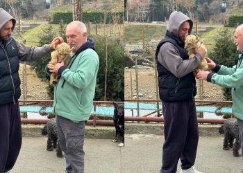 დაეკისრა თუ არა ლაშა ბექაურს პასუხისმგებლობა ლომის ბოკვრის ყოლისთვის? – რა განმარტებას აკეთებენ სამინისტროში