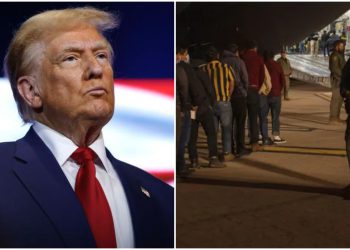 რა უნდა იცოდნენ აშშ-ში არალეგალურად მცხოვრებმა ქართველებმა?