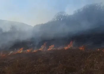 ხანძარი ფიტარეთის ტერიტორიაზე – რა ვითარებაა ადგილზე