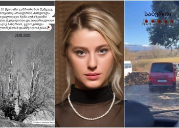 “ისე, როგორც არასდროს მინდოდა ვყოფილიყავი ჩემს აფხაზეთში…”- რა კადრებს ავრცელებს ნათია თოდუა?