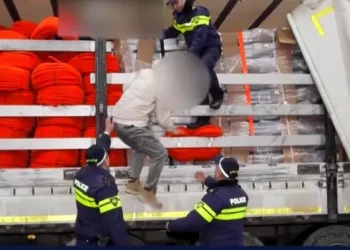 🎥ვრცელდება კადრები სარფის საბაჟოდან, სადაც 6 პირი დააკავეს – ისინი სატვირთოში იმალებოდნენ და საქართველოში შემოსვლას ისე ცდილობდნენ