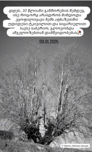 "ისე, როგორც არასდროს მინდოდა ვყოფილიყავი ჩემს აფხაზეთში..."- რა კადრებს ავრცელებს ნათია თოდუა?