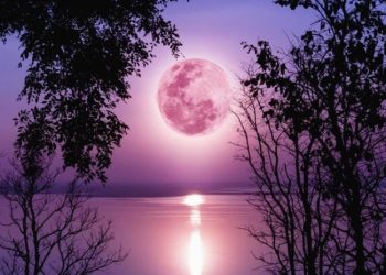 14 იანვარს სავსემთვარეობაა – რა რეკომენდაციებს იძლევა მიხეილ ცაგარელი?