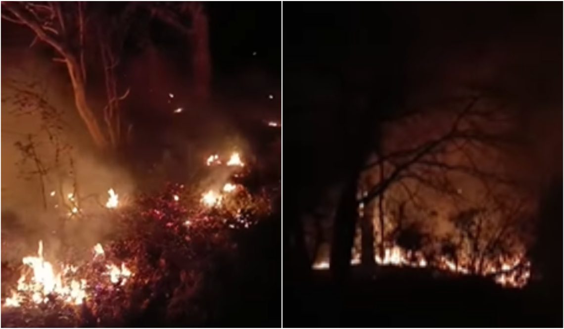 🎥ხანძარი დროებით ოკუპირებულ სოხუმთან – რა ვითარებაა ადგილზე