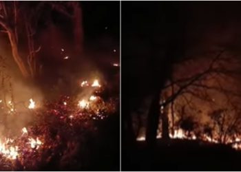 🎥ხანძარი დროებით ოკუპირებულ სოხუმთან – რა ვითარებაა ადგილზე