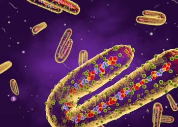 განუკურნებელი ვირუსის შემთხვევები იზრდება – დაინფიცირებული ცხრა ადამიანიდან რვა გარდაიცვალა