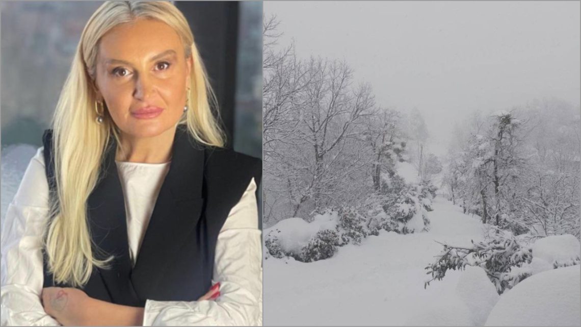 “ვცდილობ კორექტული ვიყო… როდესაც ცხედართან მაცივარი მიგვაქვს, არაა პოლიტიკური პაექრობის დრო”- ნანუკა ჟორჟოლიანი