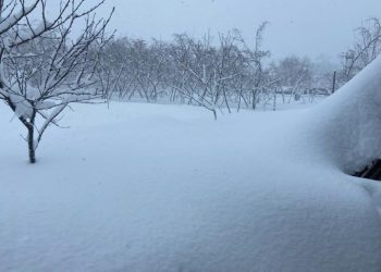 ოზურგეთში, შუახნის კაცი მეზობლის დასახმარებლად გადავიდა და სახლის სახურავის გადათოვლისას დაიღუპა