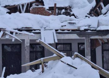 სტიქიისგან დაზარალებული ადამიანების დასახმარებლად, Cellfie Mobile 50 000 ლარს გადარიცხავს