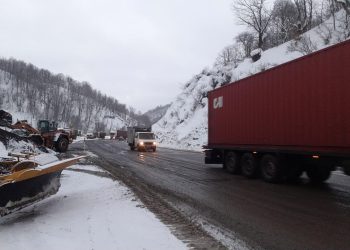 რა მდგომარეობაა ამ დროისთვის რიკოთზე? – საყურადღებო ინფორმაცია