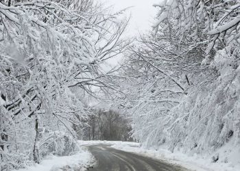 რა ხდება გზებზე – განახლებული ინფორმაცია