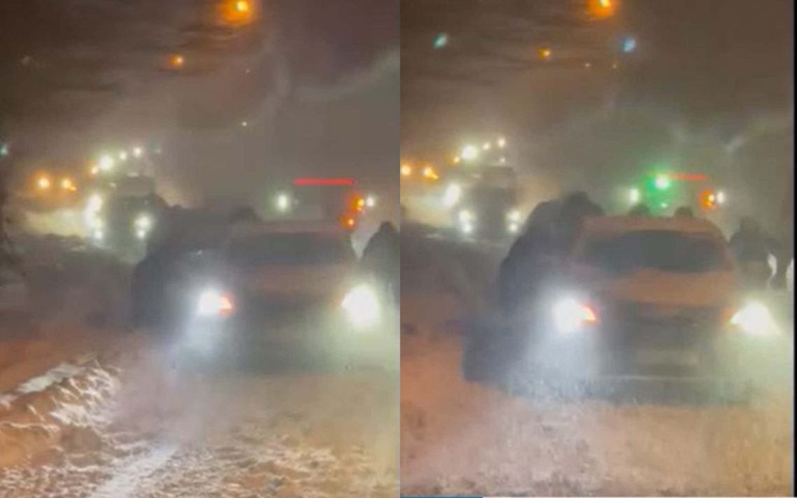 🎥”გაჭედილები არიან…” – რა ვითარებაა საბადურის ტყეში?