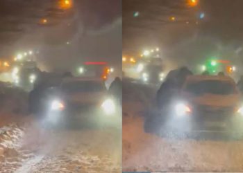 🎥”გაჭედილები არიან…” – რა ვითარებაა საბადურის ტყეში?