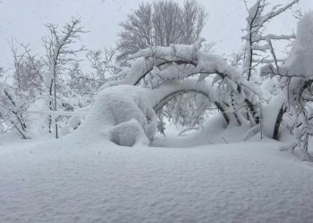 მოხდა 45 ჩაკეტილი სოფლის გახსნა – იმერეთის სახელმწიფო რწმუნებულის აპარატი