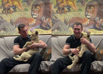 “გაიზარდა პატარა” – ლაშა ბექაური ბოკვერთან ერთად გადაღებულ მორიგ ვიდეოს აქვეყნებს