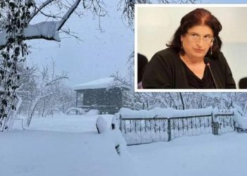 “უნდა დავიწყოთ მზადება წყალდიდობების და მეწყრებისთვის”- ნინო ჩხობაძე მიმართვას ავრცელებს