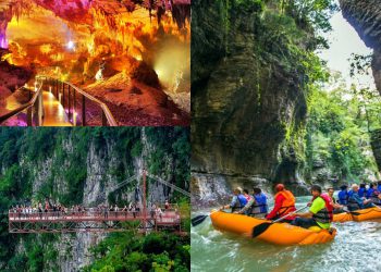 დაცული ტერიტორიების სააგენტო განცხადებას ავრცელებს