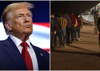 რა უნდა იცოდნენ აშშ-ში არალეგალურად მცხოვრებმა ქართველებმა?