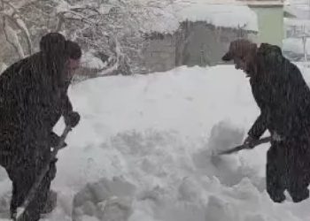 “ენერგო პრო ჯორჯია” განცხადებას ავრცელებს