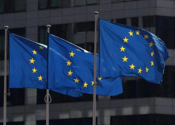 ევროკავშირის პრესსპიკერი განცხადებას ავრცელებს