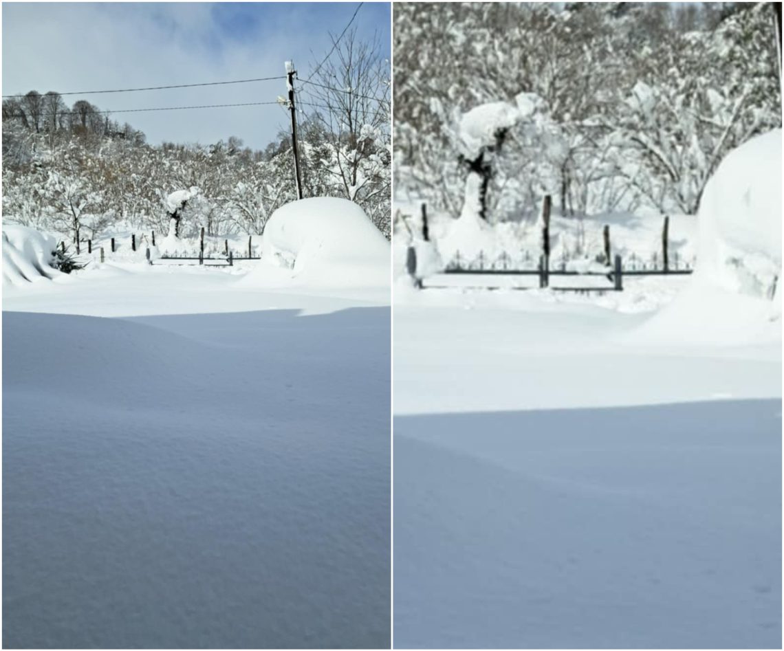 „სოფ. ჯიხანჯირში მამაჩემია ჩაკეტილი, მარტოა სახლში, საჭმელი და საჭირო ნივთები აღარ აქვს…“ – მოქალაქე გურიაში არსებულ მდგომარეობაზე