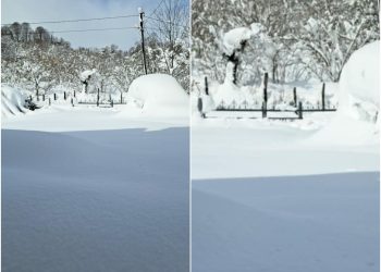 „სოფ. ჯიხანჯირში მამაჩემია ჩაკეტილი, მარტოა სახლში, საჭმელი და საჭირო ნივთები აღარ აქვს…“ – მოქალაქე გურიაში არსებულ მდგომარეობაზე