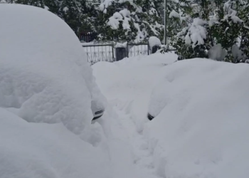“14 წლის გურამი ფეხით მიდის გარდაცვლილ დედასთან… შეუძლებელია ეს ყველაფერი”- რა ინფორმაციას ავრცელებს მოქალაქე