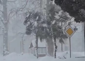 “ხალხი აღარაა რომ საფლავი გავთხაროთ…”- უახლესი ინფორმაცია სტიქიის ზონიდან