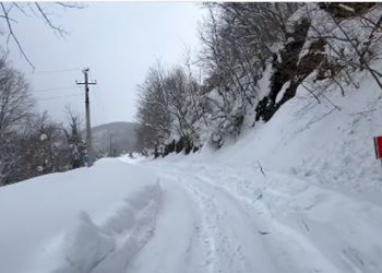 სოფელ გულიანში მეწყერი ჩამოწვა