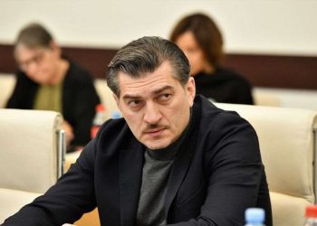 მიხეილ ყაველაშვილმა “ქართული ოცნების” კანონპროექტებს ხელი მოაწერა