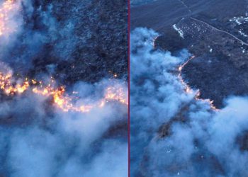 “ამ წუთებში აქტიური ხანძარია… გადანწვარია მინიმუმ რამდენიმე ჰექტარი ტყე”- დავით ქაცარავა