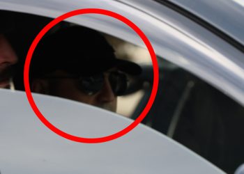 🎥უნივერსიტეტის კამპუსთან “ხარება” გამოჩნდა – რა კადრები ვრცელდება მედიაში?