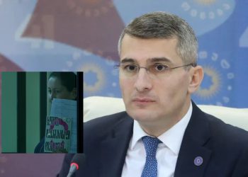 „გმირად ნუ გამოვიყვანთ ქალბატონს, რომელიც კონკრეტული დავალებით მოქმედებდა“ – მდინარაძე მზია ამაღლობელზე