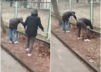 🎥„სავარაუდოდ, ნარკოტიკს ეძებენ…“ – რა საგანგაშო კადრები ვრცელდება თბილისის ერთ-ერთი სკოლის მიმდებარე ტერიტორიიდან