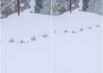 „შეძლებთ თუ არა ზედუბანში ხალხის ევაკუაციას?…“ – რა ინფორმაცია ვრცელდება გურიიდან