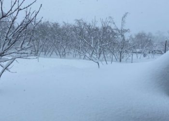 გურიაში, ნატანებში ქალი გარდაიცვალა, რომელიც მოხუც დედას უვლიდა –  დიდთოვლობის გამო ოჯახში მისვლა ვერ ხერხდება