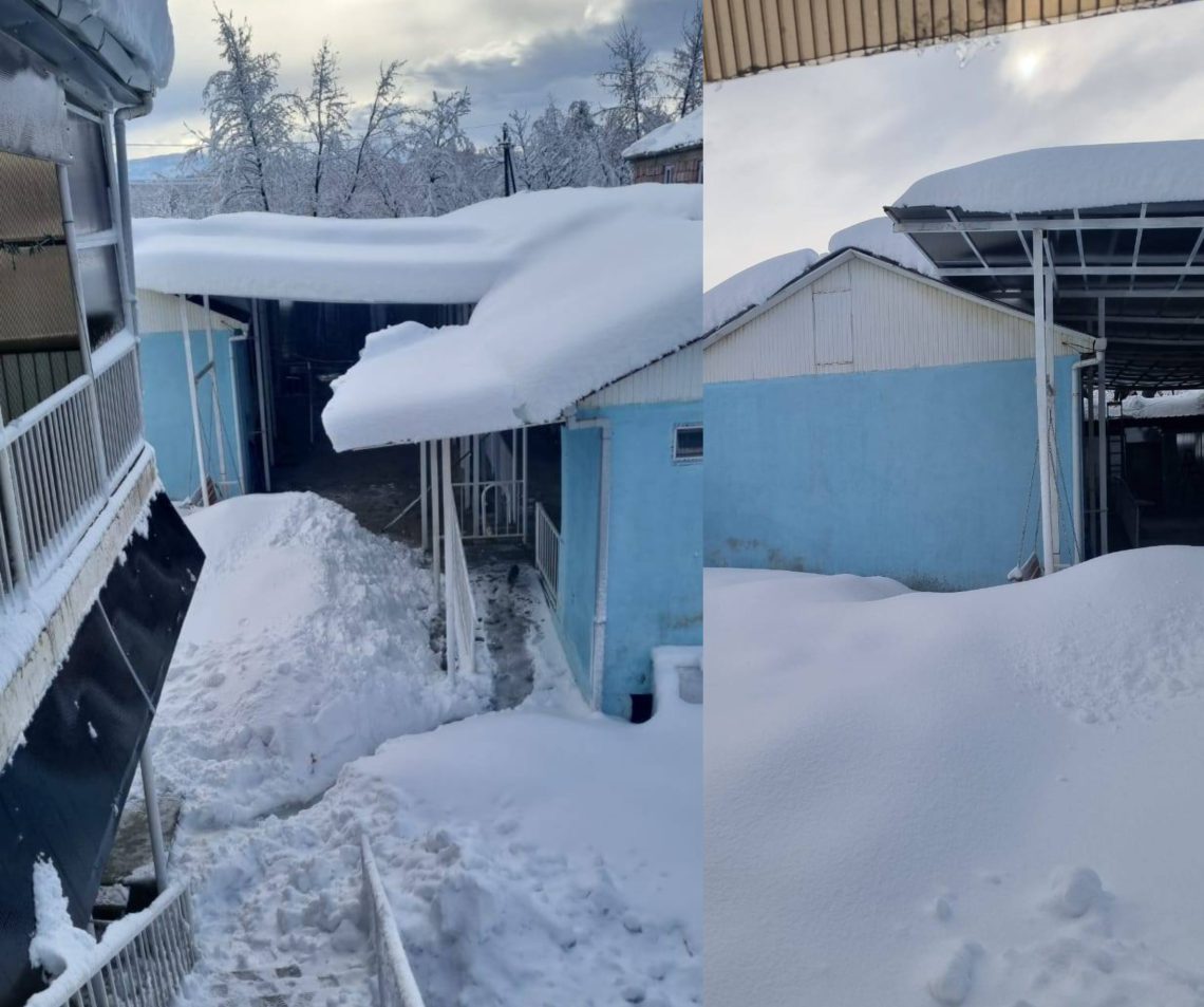 “დატრიალდება ტრაგედია… მეორე დღეა, 24 შშმ პირი იყინება” – შშმ პირთა პანსიონატი “ბარბარე”