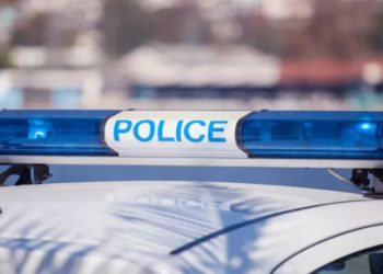 რა ახალი დეტალები გახდა ცნობილი პოლონეთში მოკლული ქართველის საქმეში?