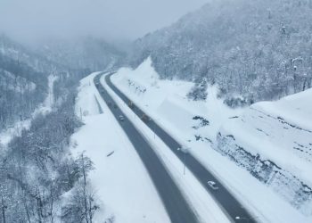 რა ხდება ამ დროისთვის რიკოთზე? – საავტომობილო გზების დეპარტამენტი ინფორმაციას ავრცელებს
