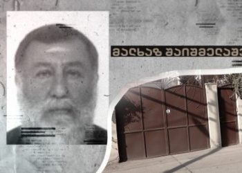 მედიაში გავრცელებული ინფორმაციით, თბილისში, მამაოს სახლში სუროგაციის ცენტრი ფუნქციონირებს, სადაც ჩვილი დაიღუპა