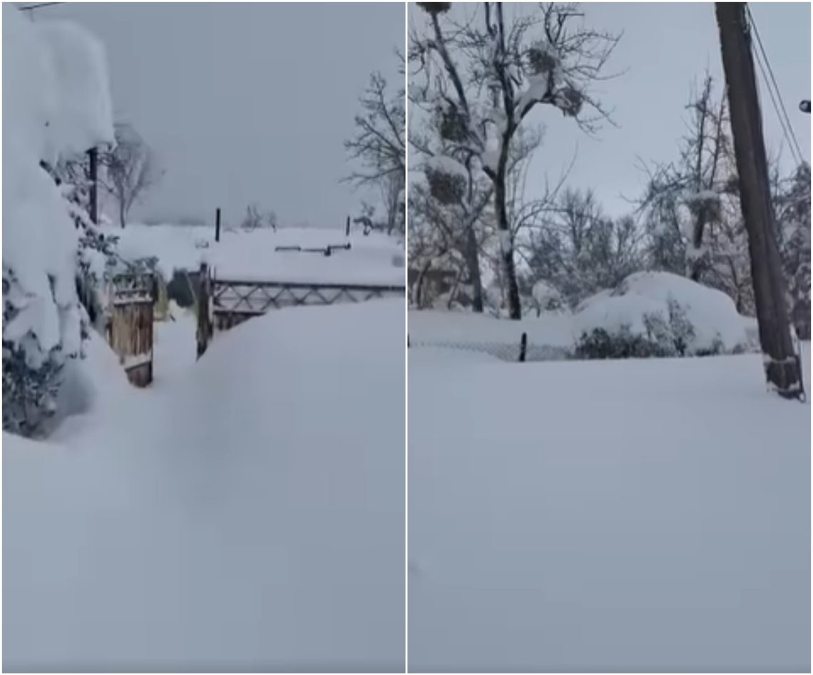 „მარტო ცხოვრობს, ისიც არ ვიცით ცოცხალი არის თუ არა, სამაშველო ვერ ადის…“ – რა ინფორმაციას ავრცელებს მოქალაქე გურიიდან