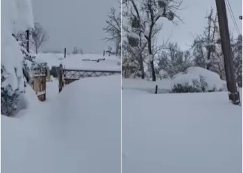 „მარტო ცხოვრობს, ისიც არ ვიცით ცოცხალი არის თუ არა, სამაშველო ვერ ადის…“ – რა ინფორმაციას ავრცელებს მოქალაქე გურიიდან