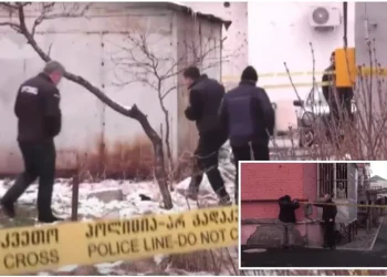 “მე მგო­ნი ვკვდე­ბი, გული მე­პა­რე­ბაო და და­ვარ­და ძირს…“ -რა დეტალები ხდება ცნობილი გორში დაჭრილ ახალგაზრდებზე?