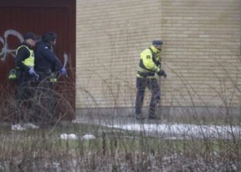 სკოლაში სროლის შედეგად ხუთი ადამიანი დაშავდა – რა მოხდა ორებროს დასახლებაში