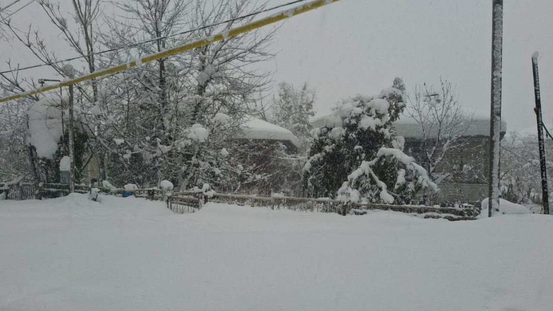 „2 დღის მშიერი ვარ, მძვრება სული” – სოფელ ბასილეთის მცხოვრები დახმარებას ითხოვს